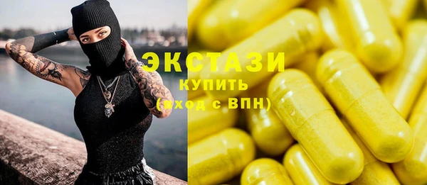 гашик Вязьма