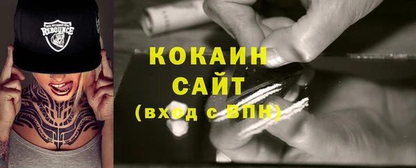 ГАЛЛЮЦИНОГЕННЫЕ ГРИБЫ Вяземский