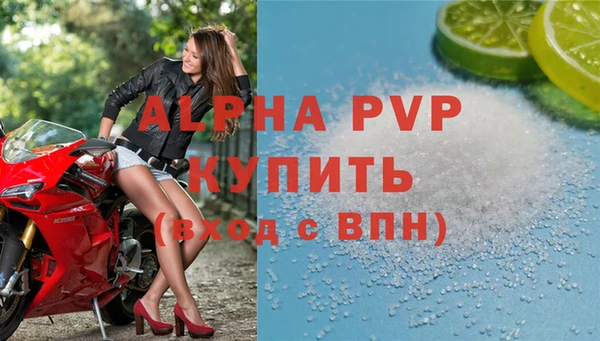 ГАЛЛЮЦИНОГЕННЫЕ ГРИБЫ Вяземский