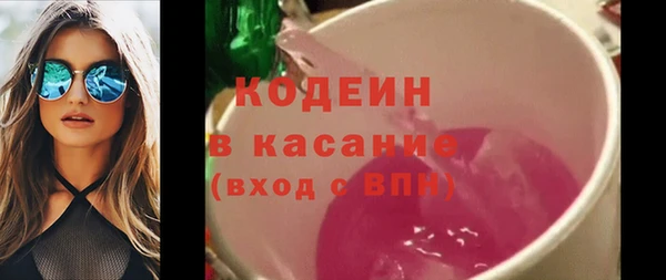 ГАЛЛЮЦИНОГЕННЫЕ ГРИБЫ Вяземский