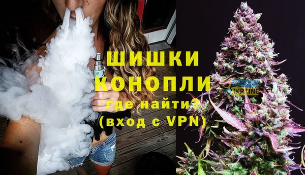 гашик Вязьма