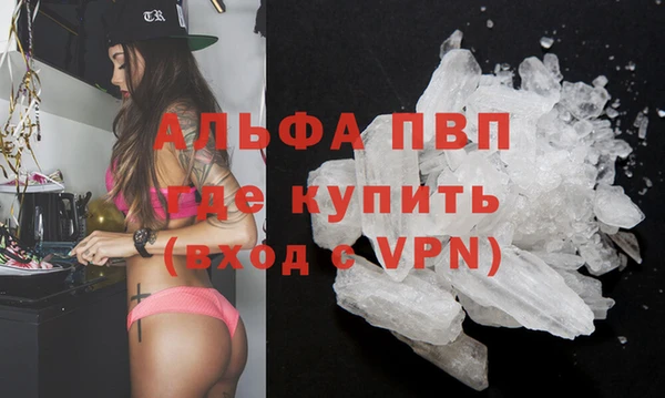 ГАЛЛЮЦИНОГЕННЫЕ ГРИБЫ Вяземский