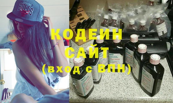 ГАЛЛЮЦИНОГЕННЫЕ ГРИБЫ Вяземский