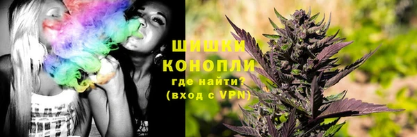 гашик Вязьма