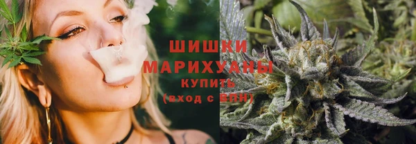 ГАЛЛЮЦИНОГЕННЫЕ ГРИБЫ Вяземский