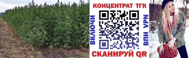 Дистиллят ТГК гашишное масло  Купить где  Среднеколымск 